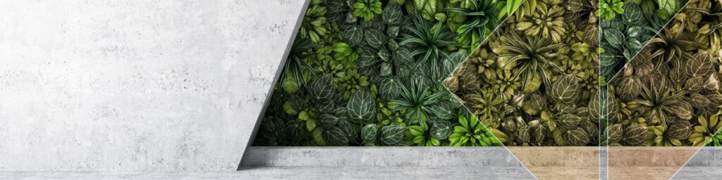 grey wall and green leafs